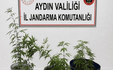 Kuşadası'nda uyuşturucu