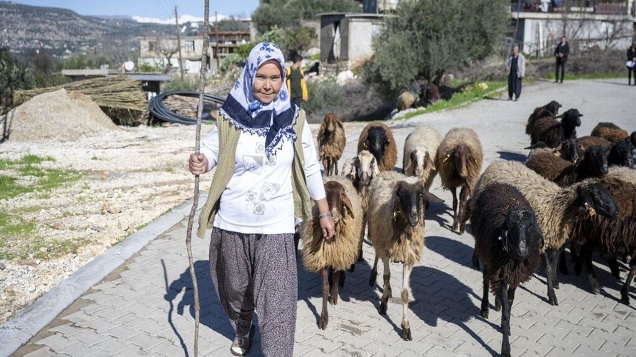 Yüksek Rakımda