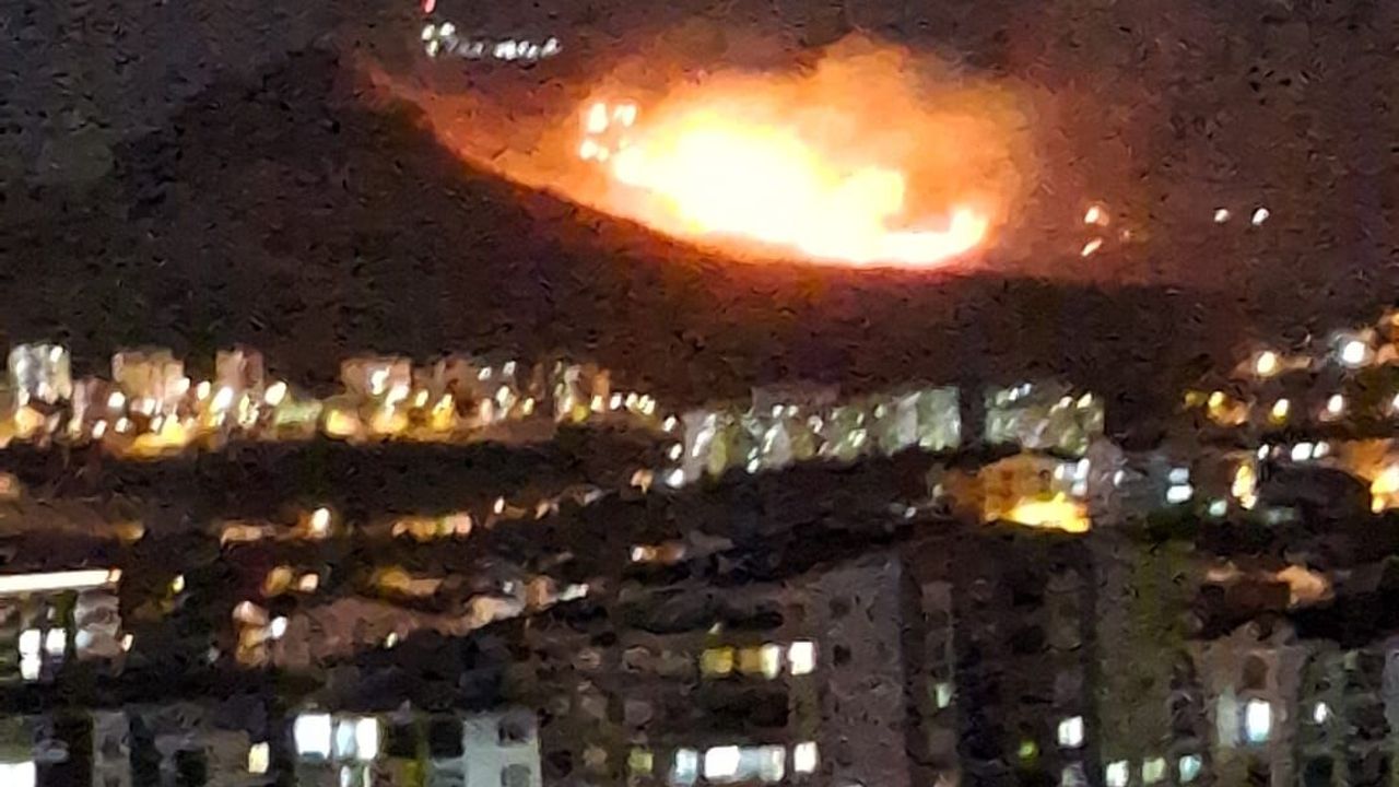 Yangın Panik