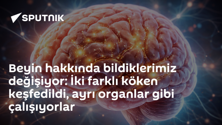 İki kökenli beyin
